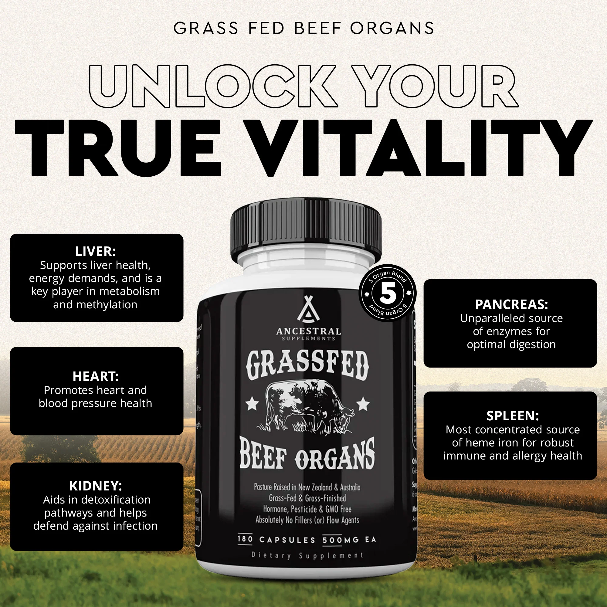 Grass Fed Beef Organs - Image 3