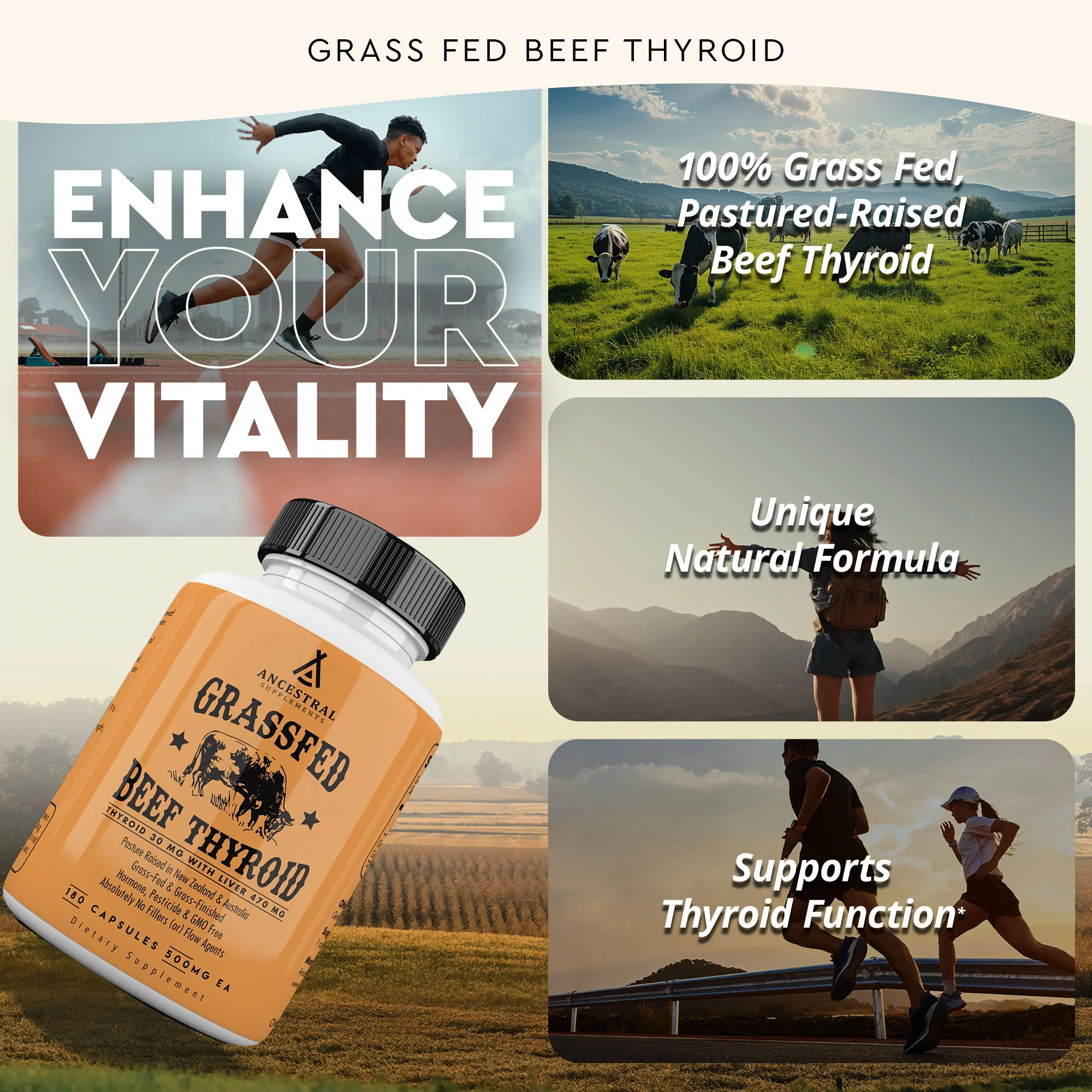 Grass Fed Beef Thyroid 3-Pack - Image 3